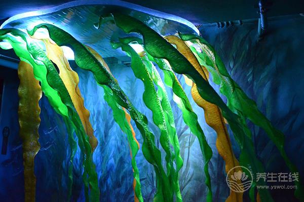 海帶對(duì)身體有很多好處,但是有2點(diǎn)需要注意 海帶對(duì)身體有很多好處,但是有2點(diǎn)需要注意