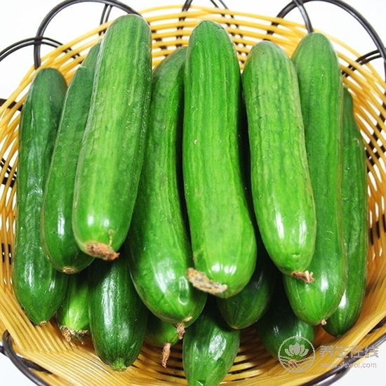 實用的買菜技巧,天天吃上新鮮菜 實用的買菜技巧,天天吃上新鮮菜