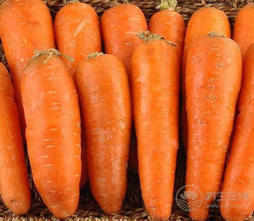 巧吃3種蔬菜，預防大小病，身體更健康　