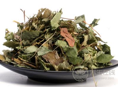 哪些人不適合服用淫羊藿能壯陽嗎 哪些人不適合服用淫羊藿能壯陽嗎