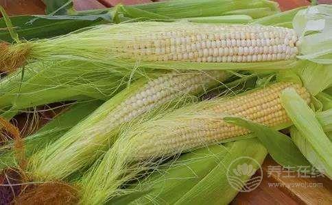 你經常往外扔的這個東西,全身都是寶! 你經常往外扔的這個東西,全身都是寶!