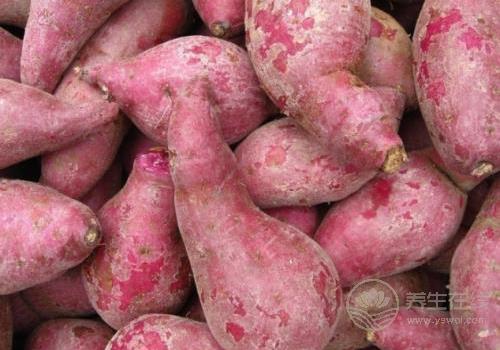 愛吃紅薯的注意：紅薯不能跟6種食物一起吃！
