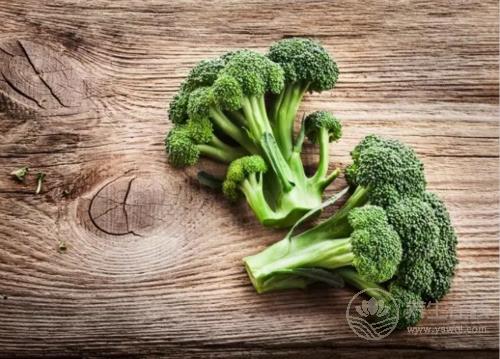 5種減脂食物放心吃，讓你瘦足一整夏！