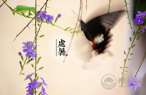 處暑養生要做的9件事 做好不生病 處暑養生要做的9件事 做好不生病