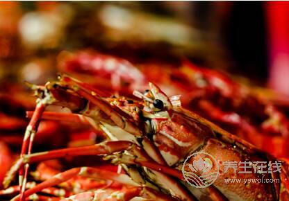 龍蝦哪些部位不能吃?哪些人不宜吃龍蝦 龍蝦哪些部位不能吃?哪些人不宜吃龍蝦