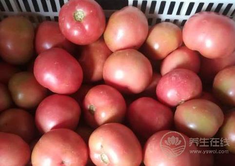 養肝吃什么好？肝臟不好怎么補？