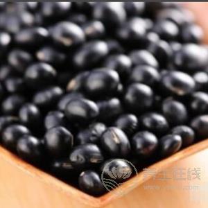 生活中有哪些食物有補血作用？補血食物推薦