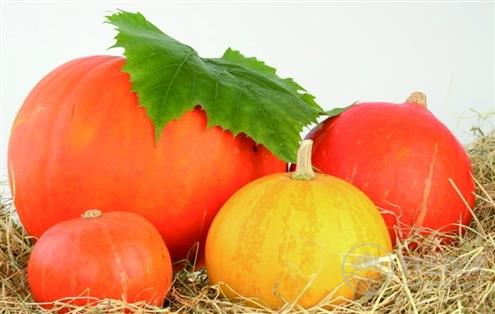 什么人不宜吃南瓜? 什么人不宜吃南瓜?