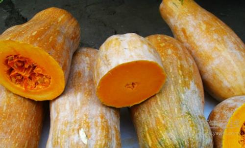 胃不好多吃這5種食物,助消化、減疼痛、修護(hù)胃黏膜 胃不好多吃這5種食物,助消化、減疼痛、修護(hù)胃黏膜