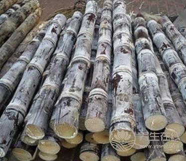 八種食物,絕對不可以空腹吃 八種食物,絕對不可以空腹吃