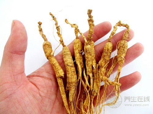 介紹野山參的吃法和禁忌,會吃更滋補 介紹野山參的吃法和禁忌,會吃更滋補