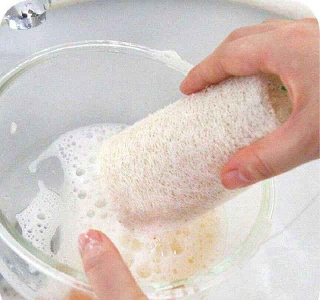 養生專家：女孩經常吃絲瓜，4個好處找上門