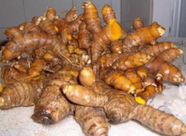 沒想到，生姜還有這么多品種，你都認齊了嗎