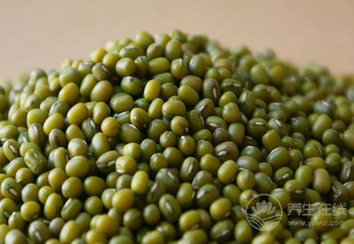 6月易上火？這些食療方能幫你清熱去火