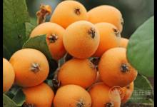 咽喉炎反復發作，這5種便宜好用的食物要多吃