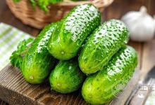 長胖了怎么辦？7種日常食物助你減脂