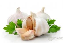 每次做菜放蒜米,相當(dāng)于每一餐都在吃“神藥”