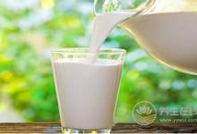 尿蛋白高不能吃什么水果?尿蛋白高吃什么好?