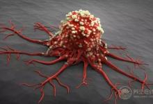 每天吃番茄的好處，給你總結好了