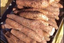 這幾種蔬菜是天然“胃藥”,胃不好可常吃