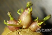 有毒!千萬(wàn)不要這樣吃的7樣食物