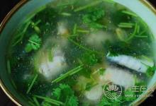 靈芝高血壓者可以吃嗎?