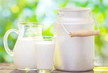 純牛奶不能和什么一起吃？什么牛奶最有營養？