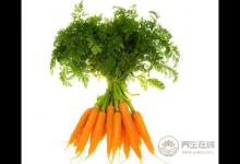 能凈化血管的5種食物,人人家里有