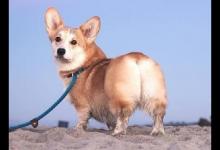 5得了痔瘡怎么治？這么做最有效！