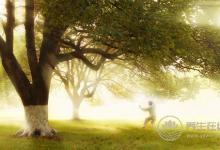 為什么吃菠蘿前要先用鹽水泡過呢