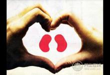 這些身體問題可能和腎不好有關,要注意護腎