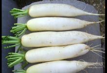 實用的買菜技巧,天天吃上新鮮菜