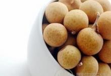 生活中有哪些食物有補血作用?補血食物推薦