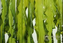 5種食物是高血糖的“天敵”,每天吃一點,血糖平穩不飆升