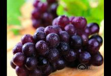 補血養顏就多吃這6種食物