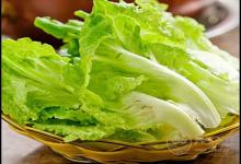 常吃生菜，對(duì)身體有這些好處，你知道嗎？