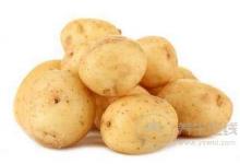 烏豆雙紅湯-治療閉經(jīng)