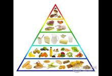 想餓死癌細(xì)胞？20%的癌癥病人死于營(yíng)養(yǎng)不良