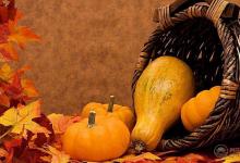 南瓜降血糖,抗氧化!愛吃的人快看看!