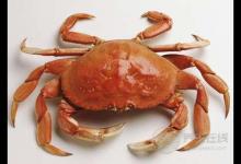 糖尿病人可以吃螃蟹嗎