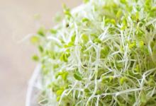 醫生提醒:高尿酸者,這5種食物再好吃都不能碰