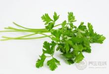 香菜雖然“臭”,但它的養生作用很多,不吃太可惜