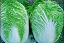 身體健康的人,一般都有這幾個(gè)飲食習(xí)慣,你占了幾個(gè)