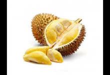 榴蓮不能和什么一起吃須知的榴蓮食用禁忌