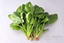 每天吃一點它,很難患上癌癥,別說沒告訴你哦!