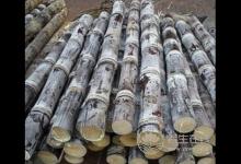 八種食物，絕對不可以空腹吃