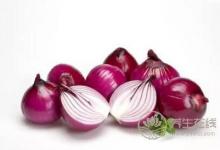 洋蔥發(fā)芽了還能吃嗎？吃洋蔥的好處