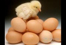 長命百歲真的好?未必!