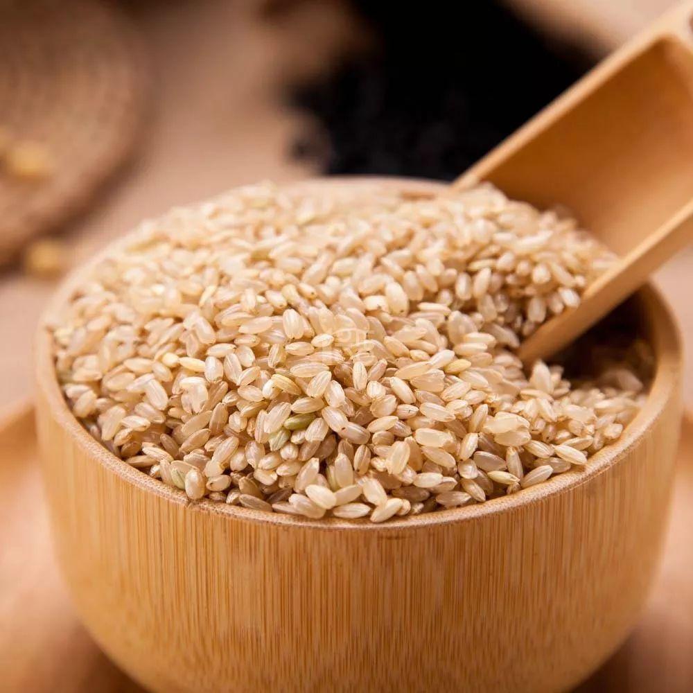 有哪些可以代替米飯的減肥主食？