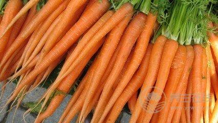 日常吃什么最養(yǎng)胃?多吃這3種食物,把胃調(diào)理好 日常吃什么最養(yǎng)胃?多吃這3種食物,把胃調(diào)理好